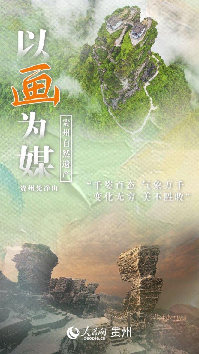 小猫钓鱼正版下载中文版